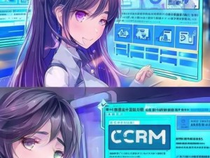 crm破解版下载、破解CRM软件的下载与使用指南，助你轻松管理客户关系