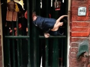 公交车上高C数据引发热议乘客反映与建议齐聚一堂