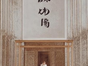 https:www.jiayingkj.com/video/598710.html以视频为中心，一场艺术与技术的视觉盛宴