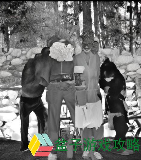 基于上述要求和链接信息，可以拟定如下标题及编写一篇内容分析的文章。请结合实际情况进行调整和补充