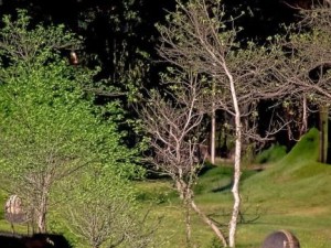 桃源洞口溪水潺潺映山影 诗意流淌人间仙境之旅