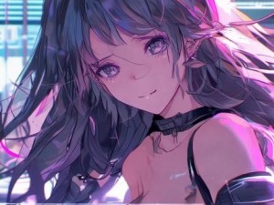 一、视频概览与平台介绍