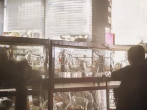 王者荣耀资源包更新缓慢的原因及解决方法探讨