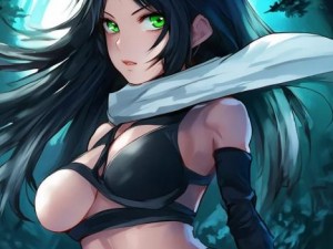 ---忍者无双tv手机版下载