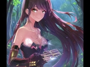 磁石战士卡组的无尽力量与策略探索之旅