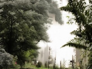 卡一卡二卡三网站乱码—卡一卡二卡三网站乱码现象解析及解决方法探讨