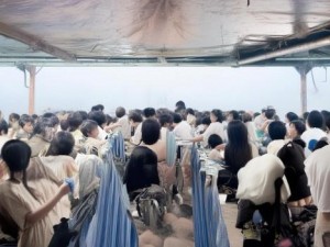 在御花园进入太子妃沈音等我回来电影,御花园中太子妃沈音静候归来情深似海的岁月交错