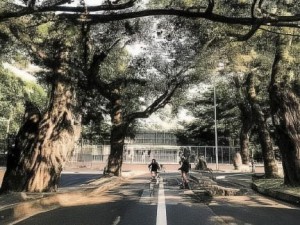 最强推销员的成功秘诀与销售技巧全解析