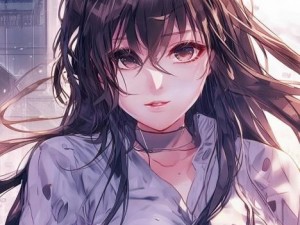 国产一级付费大片观看,深度解析与体验