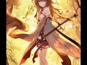 无双大蛇Z中服部半藏的传奇之路与战斗智慧探秘