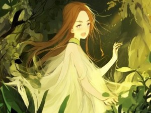 仙踪林老狼信息人口揭秘探索奇幻森林中的神秘生物与生态系统