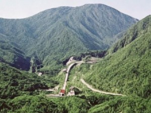天天酷跑卡特琳娜技能是什么、天天酷跑卡特琳娜技能解析及玩法攻略详解
