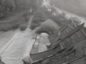 贺朝倾心谢俞的温柔岁月与青春追梦的浪漫旅程