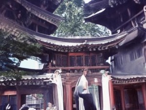 八重神子本体魅力尽显 细腻画风与神秘气质交融的奇妙之旅