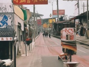 畅游书海 网络阅读带你领略无尽知识的魅力