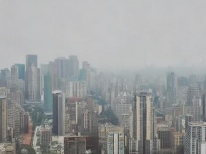 老狼在圈内的权威地位与影响力探析