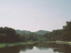 王者亚运会参赛选手-王者亚运会选手荣耀之路展现电竞新风采