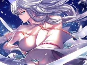 流星蝴蝶剑招式全集,流星蝴蝶剑出招视频