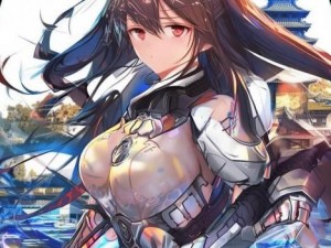 信长之野望大志手机版全新攻略与玩法解析助你成就霸业之路