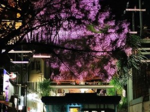 女性去掉所有服装的样子内裤也脱(女性无拘无束的真实自我展现与内心自由的探索)
