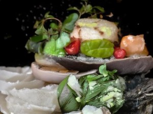 芙宁娜被旅行者导管后怎么样了、芙宁娜被旅行者导管后发生的奇幻转变与命运交织