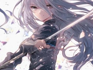 流星蝴蝶剑枪之巅峰绝技震撼登场武林风云再起