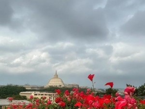 1. 优质蛋白质来源用嘴巴吃鸡会有什么好处吗女人用嘴巴吸男人阴劲的好处