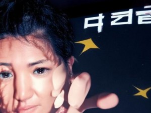 冷狐汉化300款黄油游戏大盘点，畅享极致视觉盛宴与情感体验