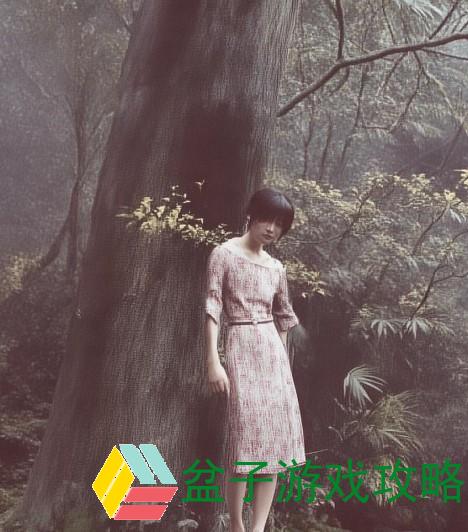 畅游海棠小说官网入口免费阅读海量精彩作品尽在指尖体验文学魅力