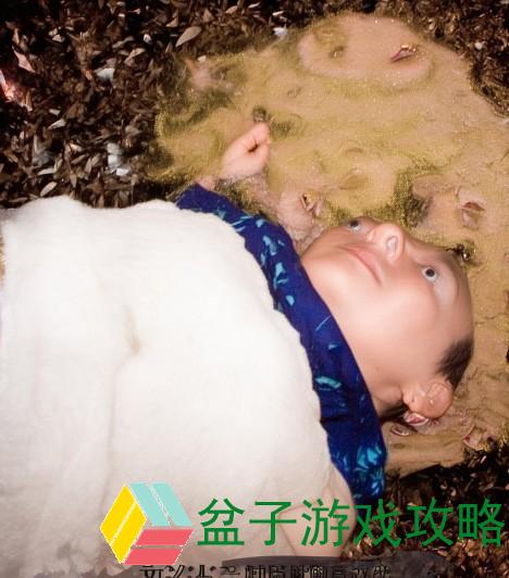 畅享无阻24小时免费观看B站直播的全新软件体验