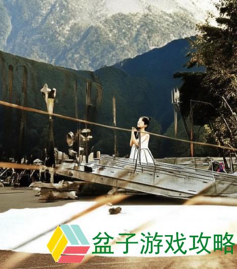 高清中文版野花香电视剧在线观看让你领略自然之美与人情温暖的完美结合