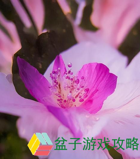潮水RaPPe的音乐之旅：从街头到舞台的蜕变与梦想