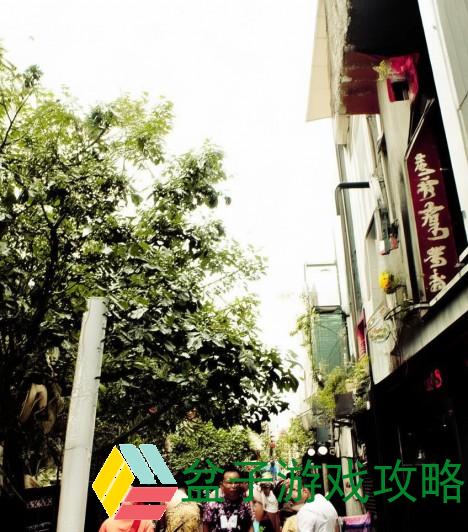 观看B站频道视频的注意事项与小贴士分享
