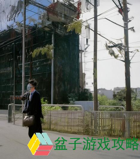 探索Bilibili网页版的无限可能，畅享视频分享与社区互动的全新体验