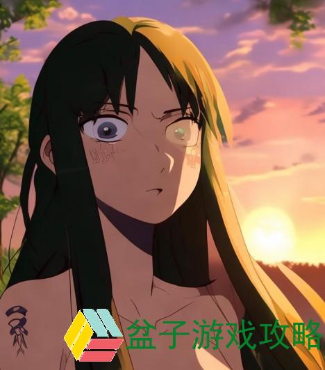 纲手心中的秘密情感自来也的回忆与遗憾