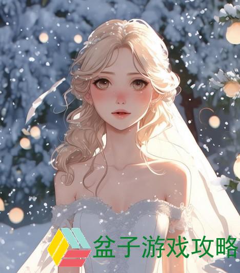 婚礼前小雪的简单检验方法揭示新娘的真实面貌与幸福指数