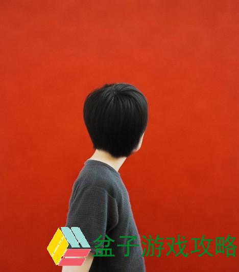 国产高清摄像机价格全面分析与市场趋势探讨