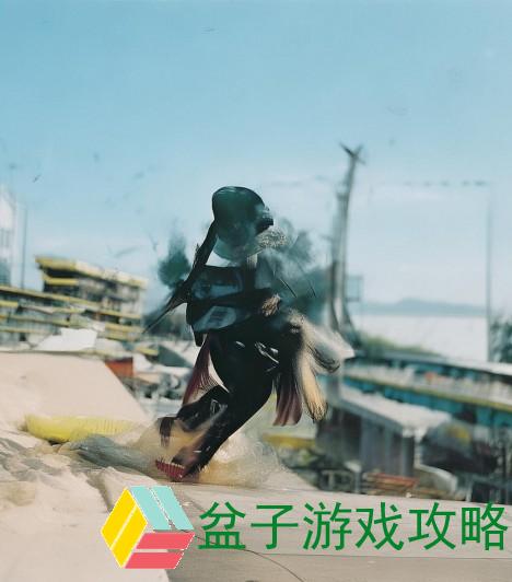 皇室战争锦标赛举办频率揭秘每年几次精彩赛事等你来战