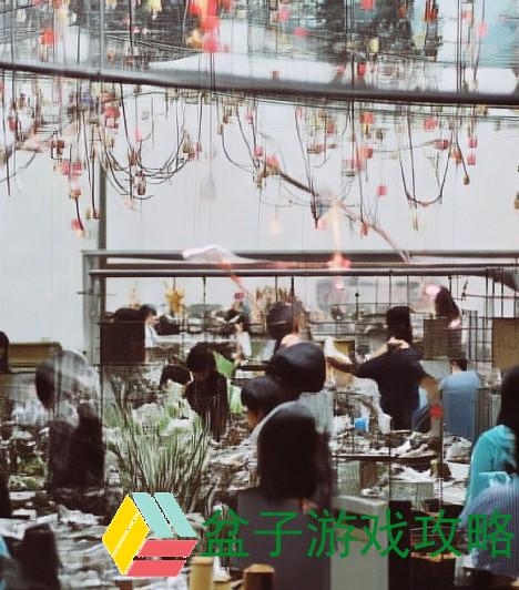 伽罗解说-伽罗解说：探秘游戏世界的奇妙与挑战，带你领略不一样的视听盛宴