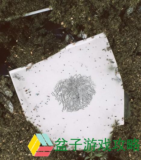 王者荣耀杨玉环图片,杨玉环魅力绽放 王者荣耀中的绝世仙子与游戏世界的完美融合