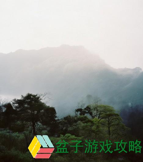 玉珠枕头的魅力与传承探秘，感受传统工艺的独特魅力与舒适体验