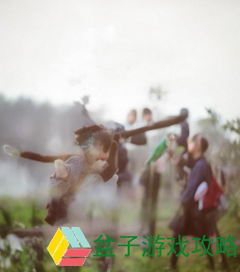 夏日海滩 歌词-夏日海滩的阳光与浪花交织的美好时光