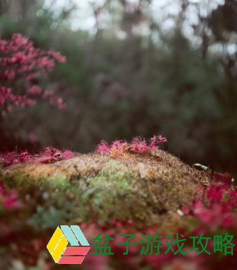 随着马的奔跑更加深入古代免费阅读;随着马儿的奔跑而律