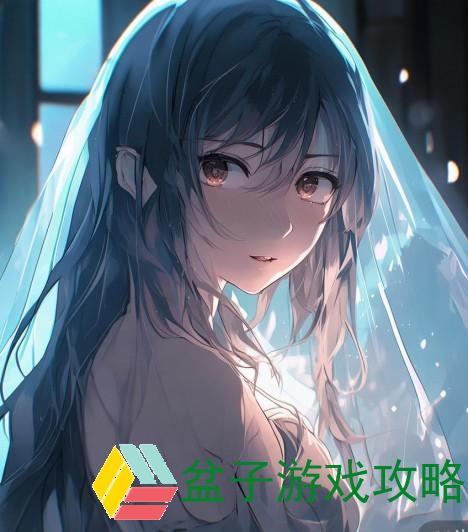 揭开神秘面纱，一场不容错过的视频之旅