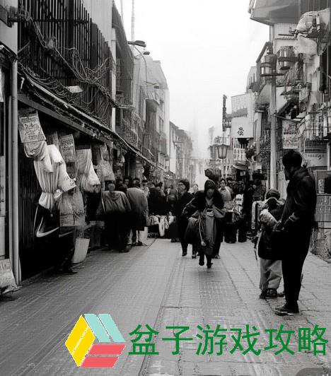 以揭秘视频链接，https:www.jiayingkj.com/video/595975.html背后的故事为中心探讨的文章标题