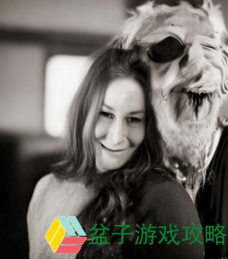 欧美一级片最新网址欧美一级片最新网址，揭秘在线影视世界的秘密角落（不推荐传播内容）
