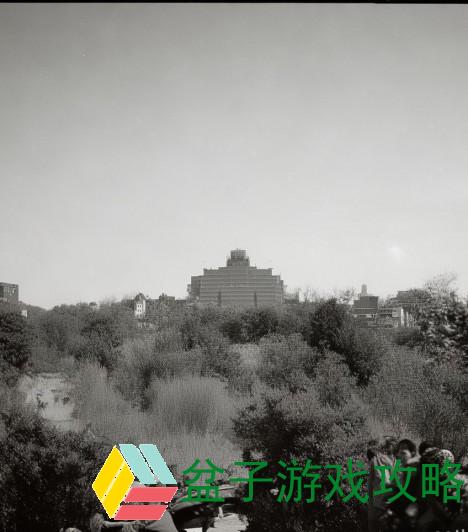 国产V片在线播放免费无码,热点话题探讨 国产V片在线播放免费无码,热点话题探讨